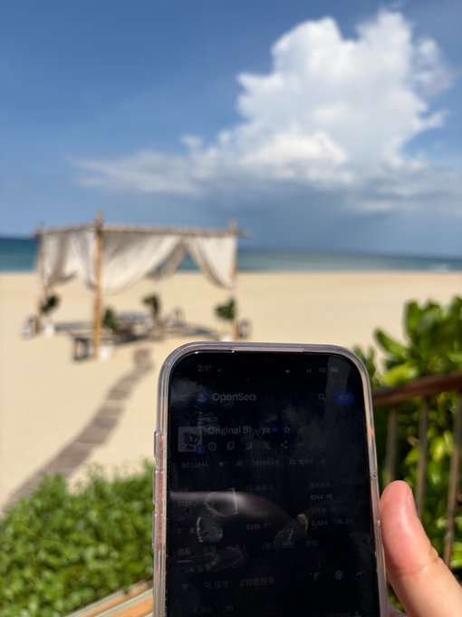 A hand holding a smartphone displaying the OpenSea app showing a Bored Ape-style NFT collection, with a beach cabana, sand, and ocean in the background.