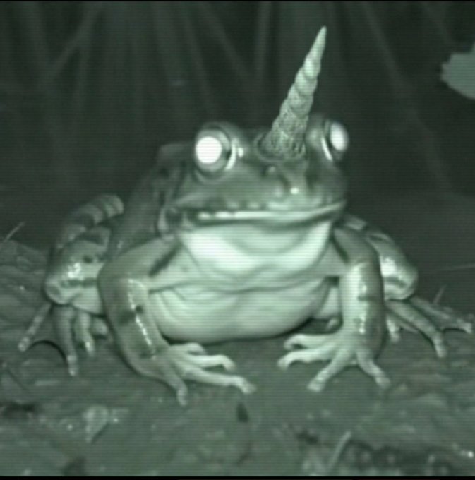Night vision footage of a frog sitting on the ground with glowing eyes and a horn protruding from its head, giving it a mythical appearance.