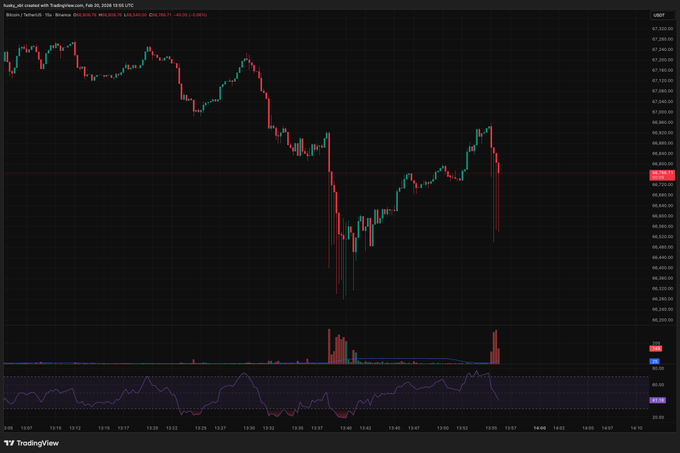 A TradingView candlestick chart displays Bitcoin (BTC/USDT) on Binance, dated February 20, 2026, with a current price near $67,747 (-0.53%), highlighting a sharp sell-off in the final candles. The post suggests the user jokingly blames this BTC price crash on someone holding 1% of all Zcash (ZEC) supply, implying the dramatic downturn is tied to that individual's trading activity.