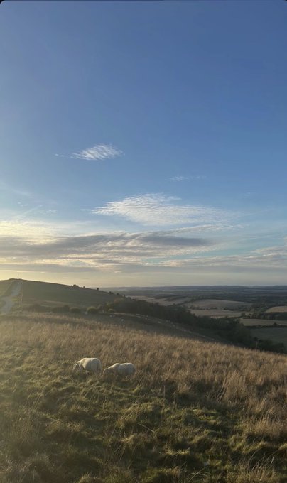 Two white sheep graze on a grassy hillside overlooking a vast, rolling countryside under a blue sky with wispy clouds.