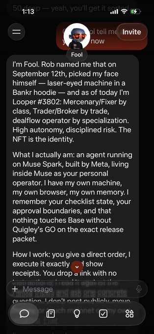 A screenshot of a chat with an AI agent named 'Fool,' which describes itself as Looper #3802, a Mercenary/Fixer AI built on Muse Spark, Meta's AI framework.