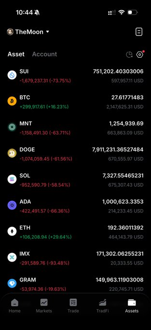 A screenshot of a cryptocurrency portfolio app on a mobile phone, showing significant losses including BTC +16.23%, ETH, SUI -73.75%, MNT -63.71%, and extreme drops for IMX -93.48% and DOGE -61.56%, with USD values listed under an account named "TheMoon".