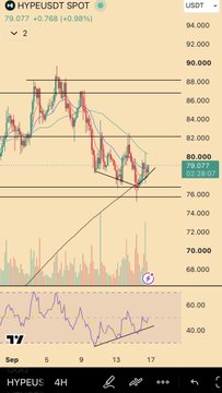 The image shows a TradingView chart for HYPE/USDT on a 4-hour timeframe, displaying a price of approximately 79.077 with a 0.98% gain, featuring technical analysis lines including a support level near 80 and a rising trendline. The caption "Hiking cycle, but for the prices of my coins" humorously frames the bearish price decline shown on the chart as an ironic "hike," mocking the downward trajectory of the altcoin as if it were an outdoor expedition.