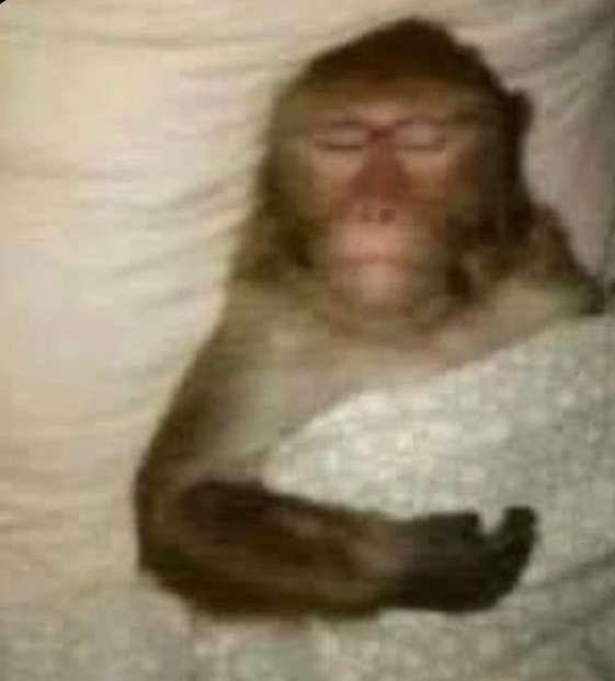 A blurry photo of a small monkey sleeping while hugging a stuffed teddy bear.
