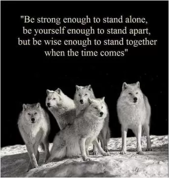 An inspirational quote over an image of white wolves: "Be strong enough to stand alone, be yourself enough to stand apart, but be wise enough to stand together when the time comes"