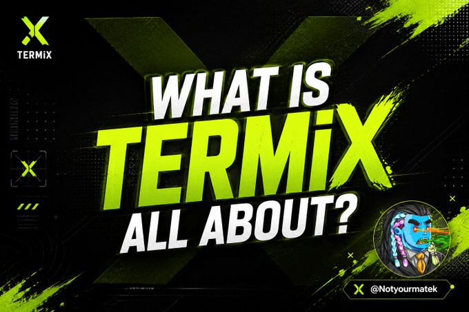 A graphic with the text 'WHAT IS TERMIX ALL ABOUT?' featuring a Terminator-style character with a colorful mask and the handle '@Notyourmatek'.