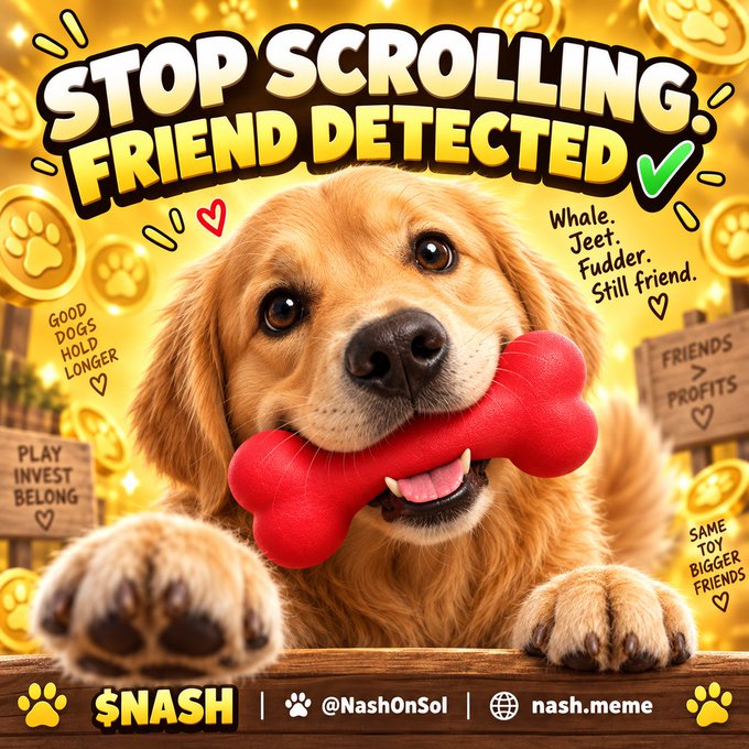 A meme featuring a golden retriever holding a red bone, with the text 'STOP SCROLLING FRIEND DETECTED' and '$NASH @NashOnSol nash.meme', along with phrases like 'Whale. Jeet. Fudder. Still friend.'