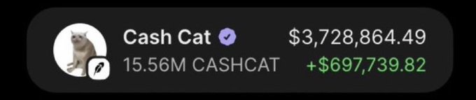 A dark interface snippet showing the token 'Cash Cat' with a verified checkmark, holding 15.56M CASHCAT, valued at $3,728,864.49, with a daily increase of +$697,739.82 displayed in green text.