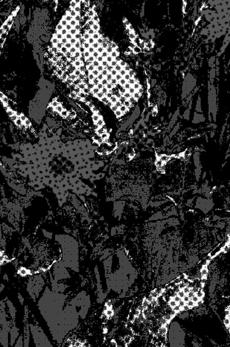 A high-contrast black and white image of a halftone pattern overlaid with abstract dark, jagged shapes and leaf-like silhouettes.