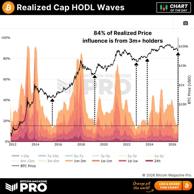 A "Realized Cap HODL Waves" chart from Bitcoin Magazine Pro shows Bitcoin price alongside age-band distribution of held supply, with text highlighting that "84% of Realized Price influence is from 3m+ holders." The visualization supports the "cycle bottom signal" thesis by showing that short-term holders (24h-1w bands) have dropped to low levels while long-term holders dominate realized price—a historically bullish setup.