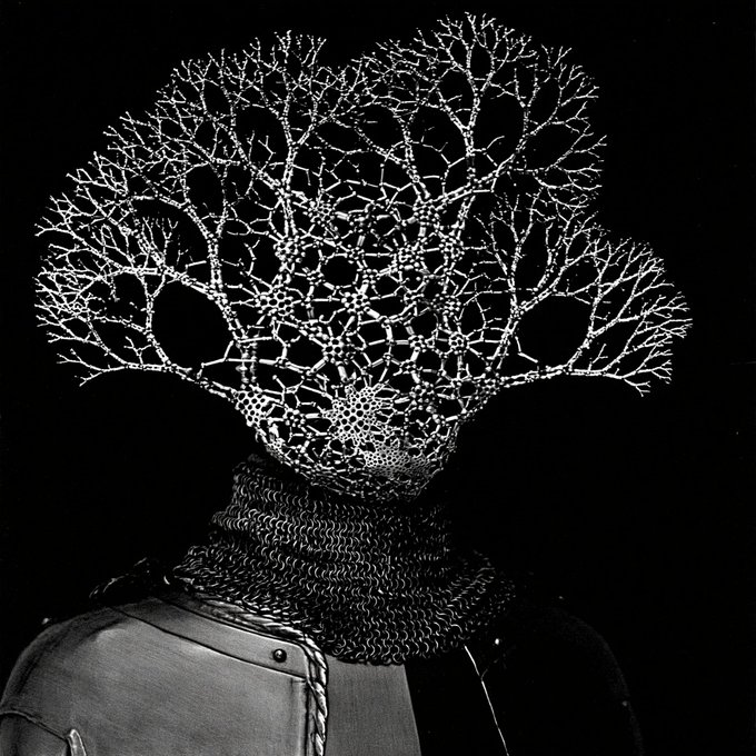 A black-and-white image of a knight in chainmail and plate armor whose head is composed of an intricate, branching, coral-like structure.