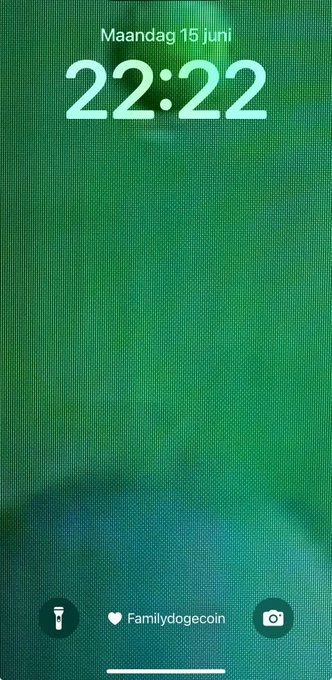 The image shows a phone screen displaying the time as 22:22, with a green background that appears to be a photo of a plant or tree. The phone's home screen also displays a message from someone named "Familydoggecoin".