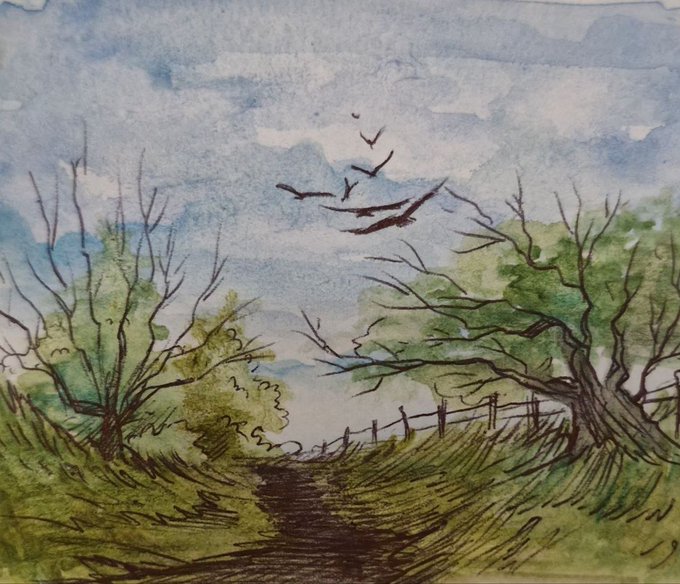 A watercolor and ink illustration depicting a landscape scene with trees on either side of a path, a fence, clouds, and birds flying in the sky.