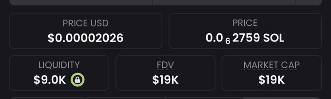 The image displays token statistics for a cryptocurrency, showing a price of $0.00002026 USD (0.00002759 SOL), liquidity of $9.0K (locked), FDV of $19K, and market cap of $19K.

The image likely represents the statistics for the $Worldcup token mentioned at the end of the post, showcasing its extremely low valuation metrics consistent with a newly launched micro-cap memecoin.