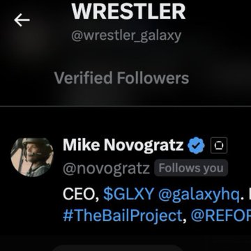 A social media profile screen for 'WRESTLER' (@wrestler_galaxy) showing a Verified Follower section with Mike Novogratz (@novogratz) listed, noting 'CEO, $GLXY @galaxyhq'.