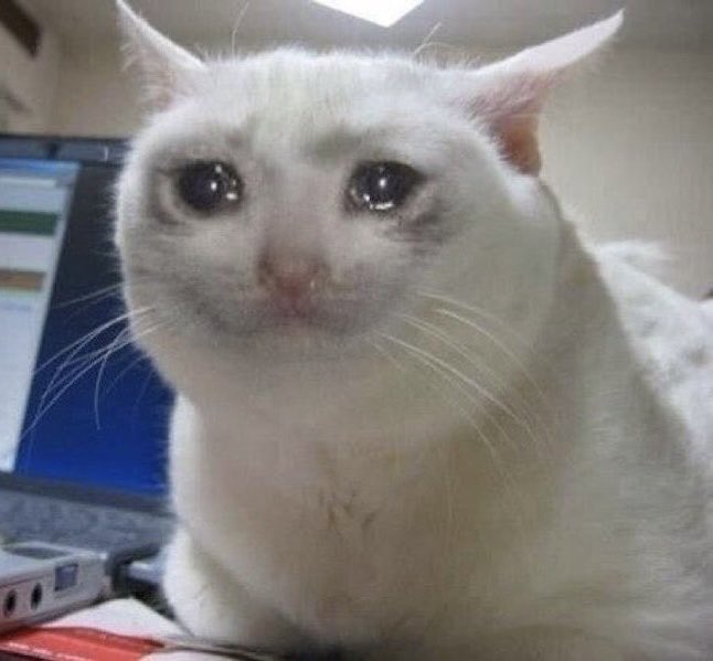 A close-up photo of a white cat with large, teary eyes sitting in front of a computer monitor, displaying a sad or crying expression.