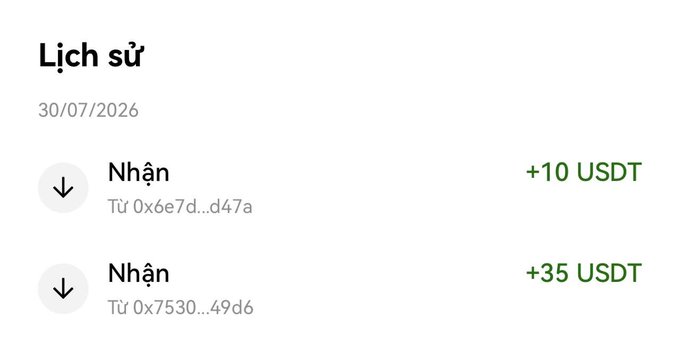 A cryptocurrency transaction history dated 30/07/2026 shows two incoming USDT transfers—one of +10 USDT from address 0x6e7d...d47a and another of +35 USDT from 0x7530...49d6—totaling 45 USDT, which the user describes as small web3 earnings being scraped together to pay their electric bill.