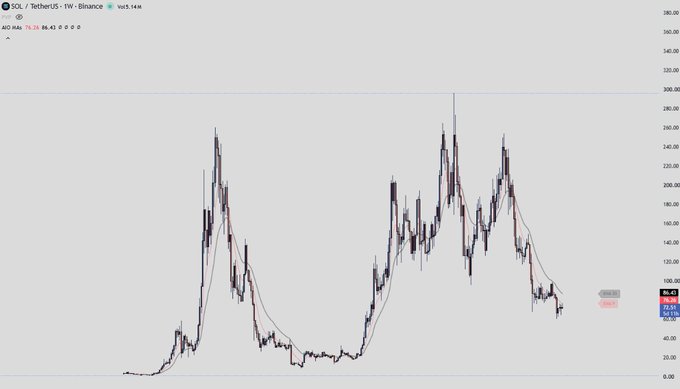 A candlestick chart of SOL/USDT on Binance shows the cryptocurrency's price action, including a sharp rise to a peak around 295, a subsequent crash, and a recovery with another peak near 260 before falling back to the current price of 94.14, illustrating the volatility and subsequent decline that mocked those who prematurely called a bull market.