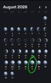 The image shows a calendar for August 2020 with a date circled in green, likely highlighting a specific day relevant to the XRP community mentioned in the caption "MFS IN THE XRP COMMUNITY READING THIS RN." The circled date likely marks a significant event or announcement for XRP holders.