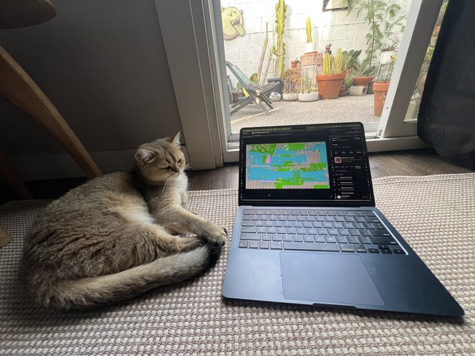 A gray tabby cat lying on a textured carpet next to a laptop displaying a pixel art game or image, with a sliding glass door showing a patio with potted plants in the background.