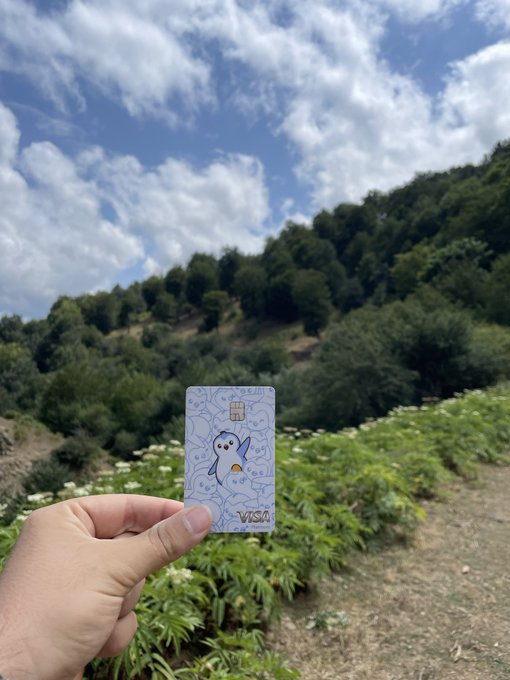 A hand holding a light blue Visa credit card with a cartoon dog design in a landscape setting with green hills, trees, and a partly cloudy sky.
