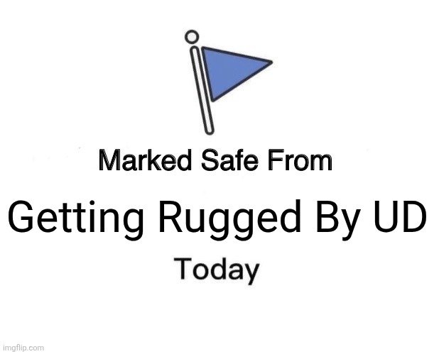 A meme featuring a flag emoji with the caption 'Marked Safe From Getting Rugged By UD Today'.
