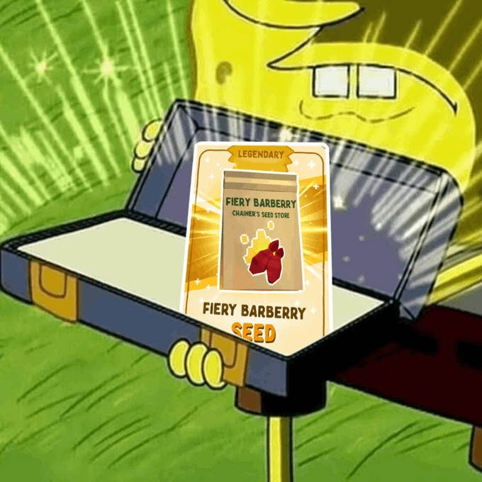 A screenshot from an animated video showing a yellow character holding a 'FIERY BARBERRY SEED' legendary item card from Chaimer's Seed Store.