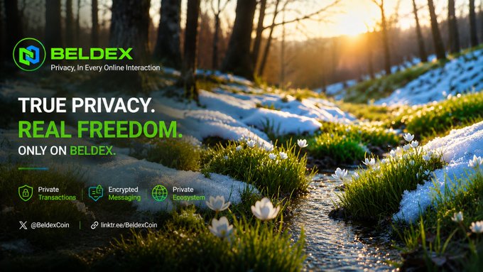 An advertisement for BELDEX featuring a forest stream, with the text 'TRUE PRIVACY. REAL FREEDOM. ONLY ON BELDEX.' and features like 'Private Transactions' and 'Encrypted Messaging'.