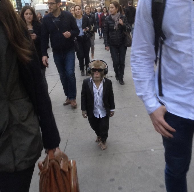 A small monkey dressed in a black suit, white shirt, and sunglasses, walking on a city sidewalk surrounded by pedestrians.