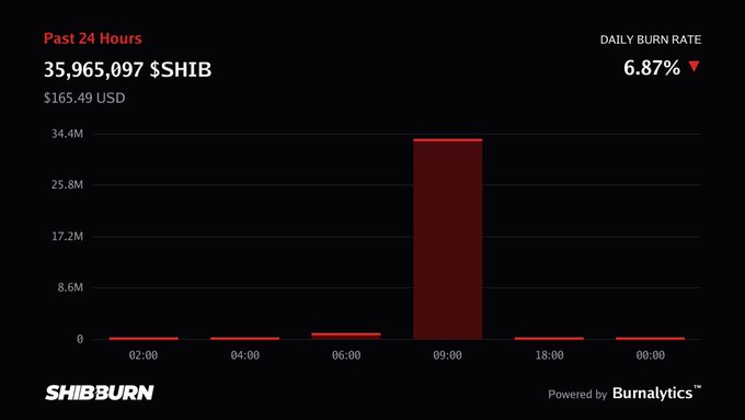 A Shibburn dashboard displays that 35,965,097 $SHIB (worth $165.49 USD) was burned in the past 24 hours, with a chart showing a dramatic spike near 09:00 and a daily burn rate decrease of 6.87%.