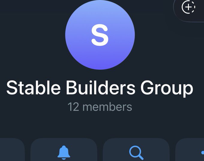 A screenshot of a group chat interface on a messaging app titled 'Stable Builders Group' with 12 members, featuring a purple avatar with the letter 'S'.