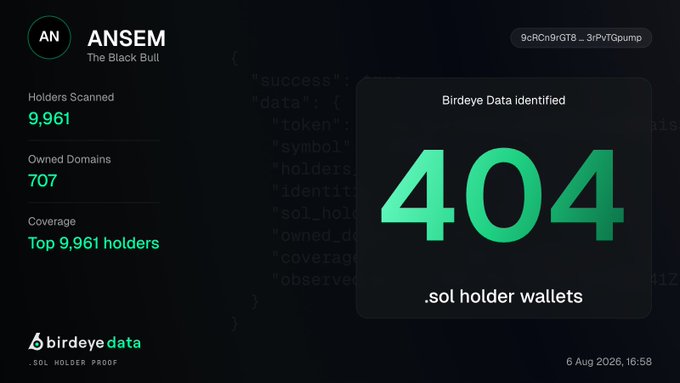 A dashboard from Birdeye Data displays that among the top 9,961 $ANSEM holders, Birdeye Data identified 404 .sol holder wallets who own 707 domains, illustrating the strong on-chain culture of the Solana-native community behind @blknoiz06.