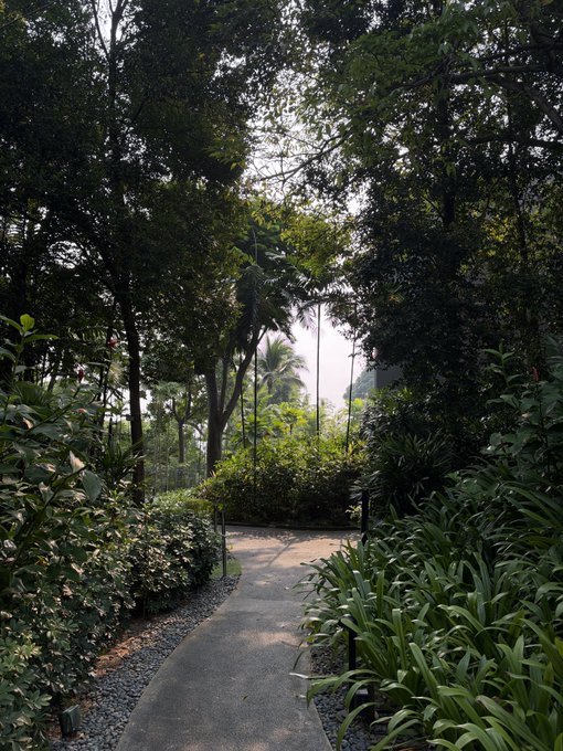 A pathway winds through a tropical garden with dense, lush green foliage and tall trees, including palm trees visible in the background.