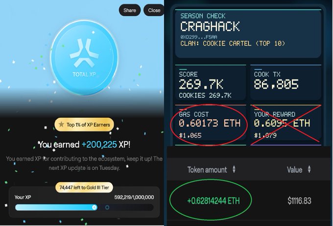 The image shows two tabs of a computer screen displaying information related to XP Earners. The first tab displays the XP Earners status for a user, while the second tab provides details about the XP Earners account balance. Both tabs are set against a blue background with white text and icons.