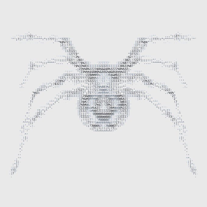 This image displays ASCII art of a rare NFT-style character face/creature made from characters like "Z", "%", "S", "I", and "2" against a white background, which appears to be a crypto/NFT collectible being shared on social media, likely referencing the user @0xNTRPY in connection with this distinctive digital art piece.