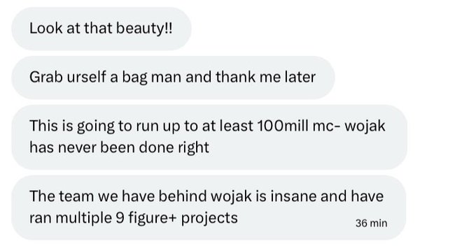 A series of text messages promoting a Wojak project, claiming it will reach "at least 100mill mc" with an "insane" team behind it, despite the post suggesting these are unfulfilled promises that led to someone abandoning an Ethereum community.