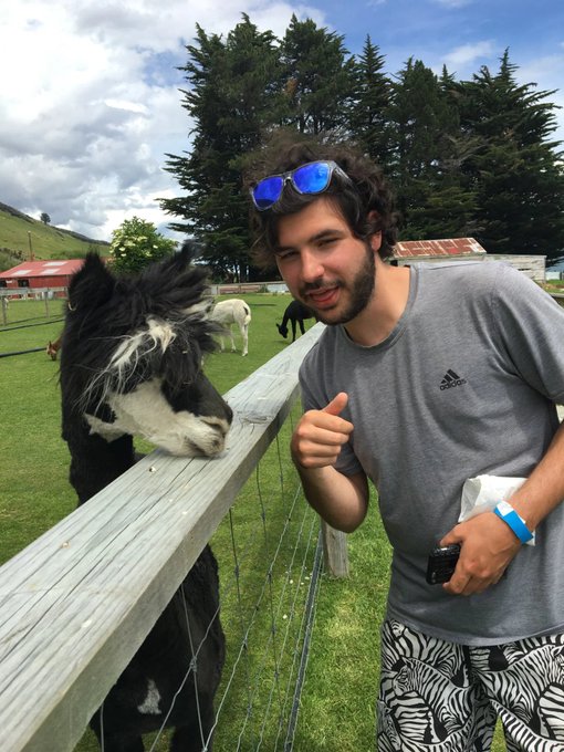 A young man with sunglasses on his head, wearing a gray Adidas shirt and zebra-print shorts, stands next to a fence giving a thumbs-up while a fluffy black and white alpaca sticks its head over the rail.