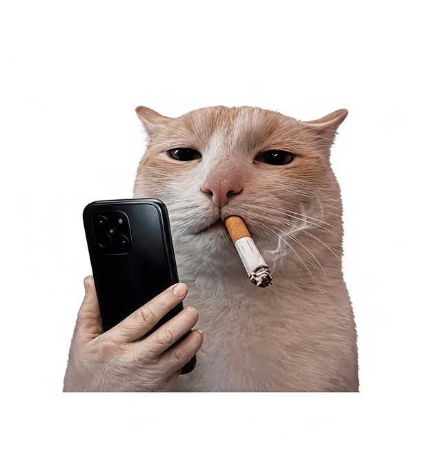 A humorous digital image of an orange cat holding a black smartphone in its paw while smoking a lit cigarette, set against a white background.