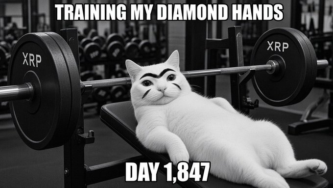 A black-and-white meme shows a cat lying on a gym bench with "XRP" labeled weights, captioned "TRAINING MY DIAMOND HANDS DAY 1,847."