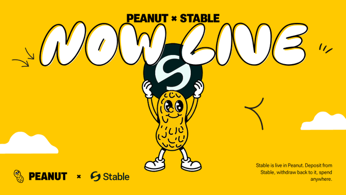 A cartoon peanut character holds up a "S" logo against a bright yellow background with the bold text "PEANUT × STABLE NOW LIVE," announcing the integration. Small text at the bottom reads, "Stable is live in Peanut. Deposit from Stable, withdraw back to it, spend anywhere," directly reflecting the post's message about seamless digital dollar transfers.