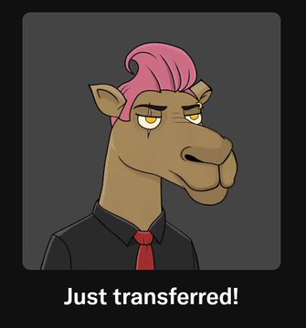 A cartoon illustration shows a camel with pink hair wearing a black shirt and red tie, accompanied by the text 'Just transferred!'