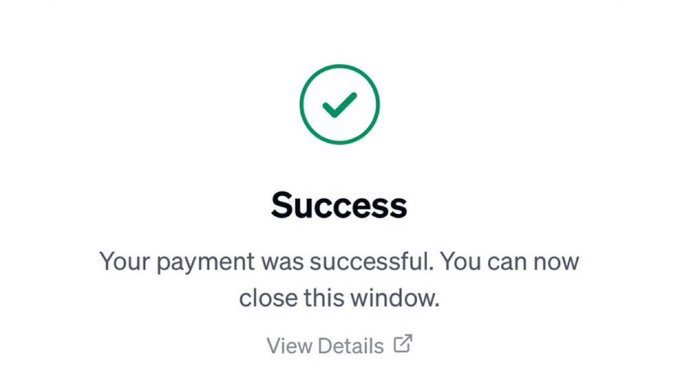 A payment confirmation screen displays a green checkmark, the word 'Success', and the message 'Your payment was successful. You can now close this window.' above a 'View Details' link.