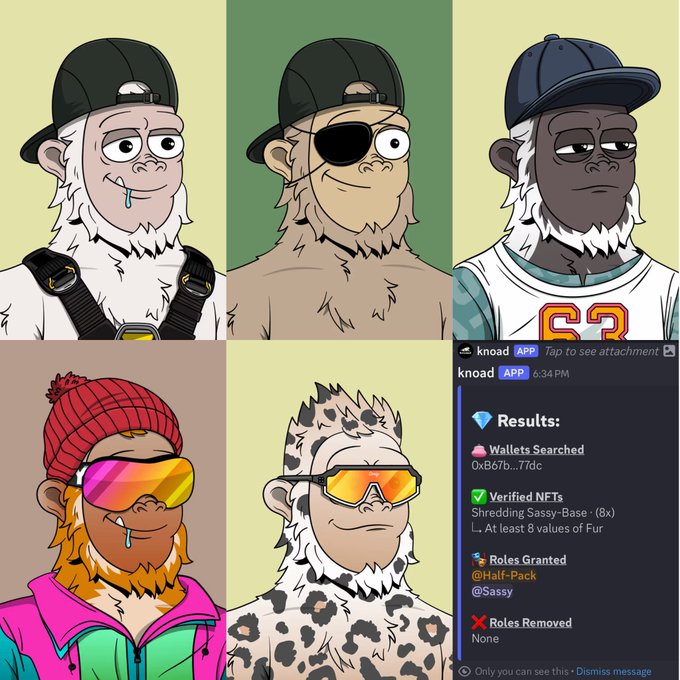 A collage of five cartoon monkey avatars with different outfits and accessories, alongside a Discord message from 'knoad' showing NFT verification results for 'Shredding Sassy-Base' and roles granted.