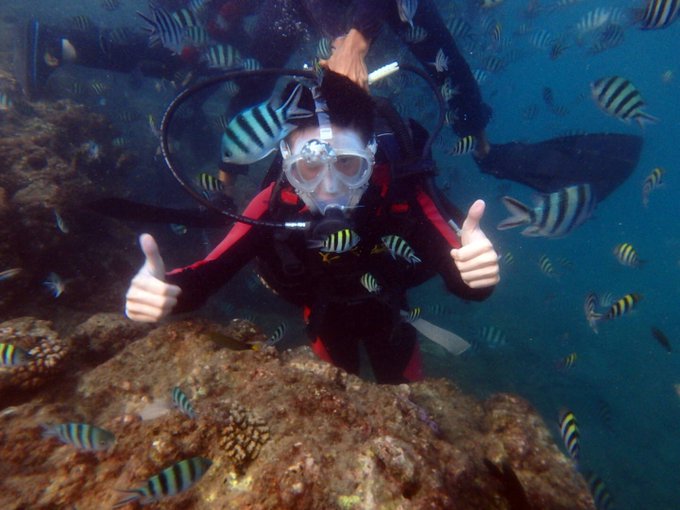 A scuba diver wearing a black and red wetsuit gives two thumbs up while surrounded by sergeant major fish and coral reef.