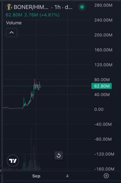 A cryptocurrency trading chart showing BONER/HIM... trading at 62.80M with a 48.61% increase at 1h interval, displaying price action and volume.