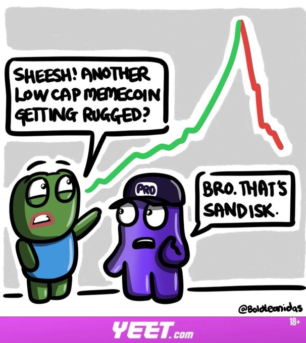 A cartoon shows a green meme coin character exclaiming "Sheesh! Another low cap memecoin getting rugged?" while pointing at a stock chart behind them, and a purple character wearing a "Pro" hat replies "Bro. That's Sandisk." The image humorously parodies crypto traders misinterpreting traditional stock market movements as memecoin volatility.