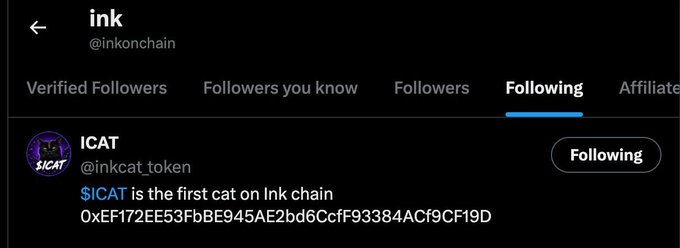 Social media profile screenshot for 'ink' (@inkonchain) on the Following tab, showing they follow 'ICAT' (@inkcat_token) described as the first cat on Ink chain.