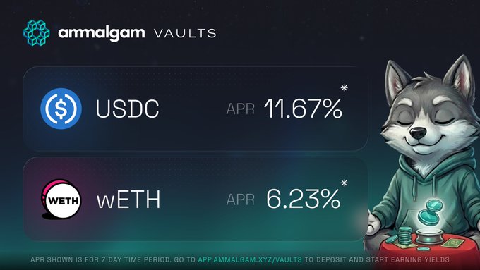 Amalgam Vaults displays its 7-day performance with USDC yielding an APR of 11.67% and wETH yielding 6.23%, accompanied by a cartoon wolf mascot in a green hoodie holding coins—matching the post's mention of vault returns and the link to app.ammalgam.xyz/vaults.