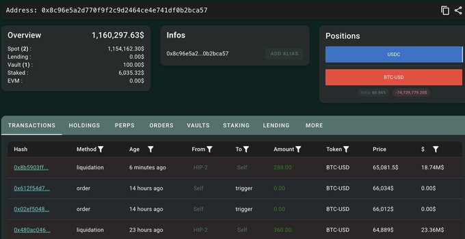 A cryptocurrency portfolio dashboard screenshot showing address 0x8c96e5a2d770f9f2c9d2464c4e741df0b2bca57 with an overview balance of 1,160,297.63$, positions in USDC and BTC-USD, and a transactions list including liquidations.