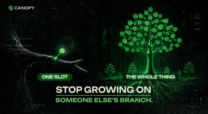 The image features an advertisement for a product called "Canopy" with a green tree and a green light shining down on it, creating a glowing effect. The text above the tree reads "Stop Growing On Someone Else's Branch." This message is related to the concept of blockchain technology, as it encourages users not to grow their own branch without considering others' branches in the network.